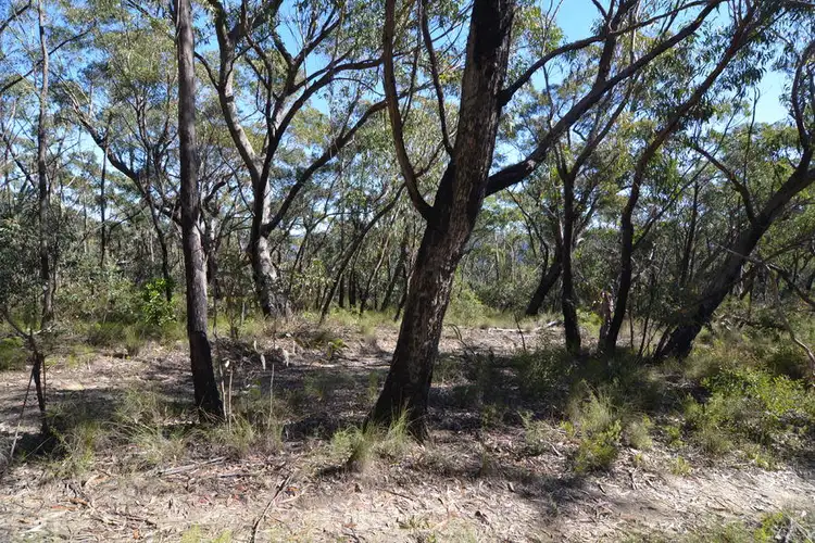 Fifth view of Homely rural property listing, 230 - 286 Darling Causeway, Bell NSW 2786