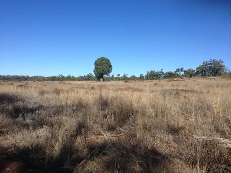Fourth view of Homely rural property listing, 1141 Yuleba Surat Road, Yuleba QLD 4427