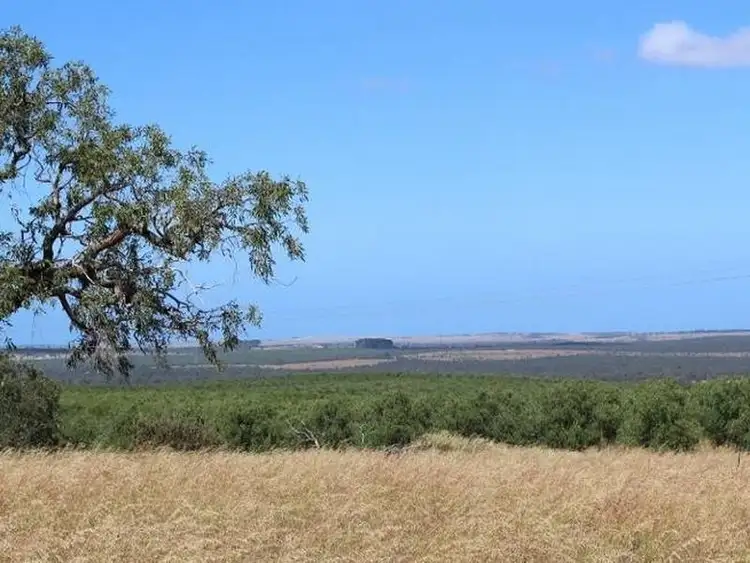 Second view of Homely land listing, 124 Borabilla Place, Gingin WA 6503