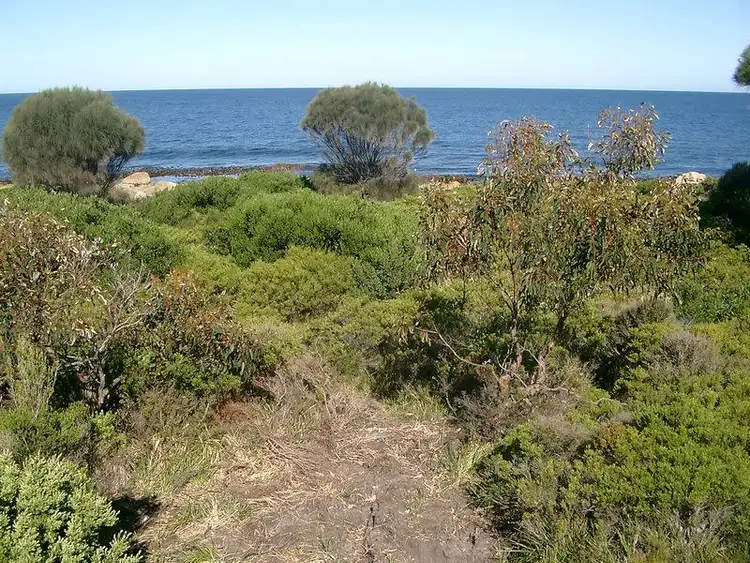 Third view of Homely land listing, 315 Harveys Farm Road, Bicheno TAS 7215