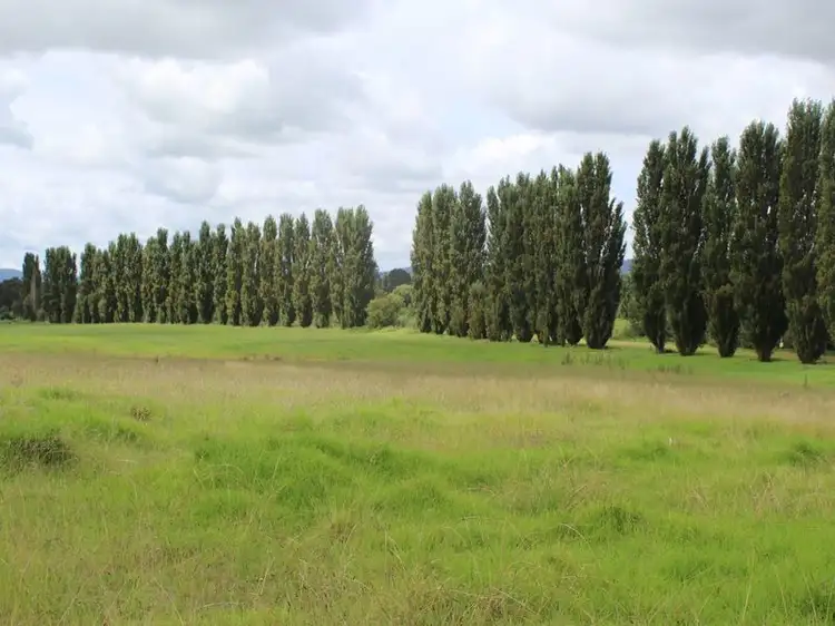 Second view of Homely land listing, Lot 1 Springvale Close, Bega NSW 2550