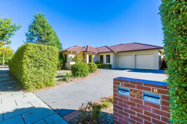 Second view of Homely other listing, 43A Froggatt Street, Turner ACT 2612