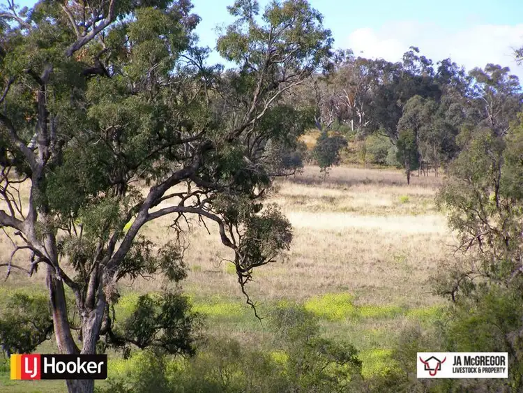 Seventh view of Homely rural property listing, Gragin Peak Road, Warialda NSW 2402