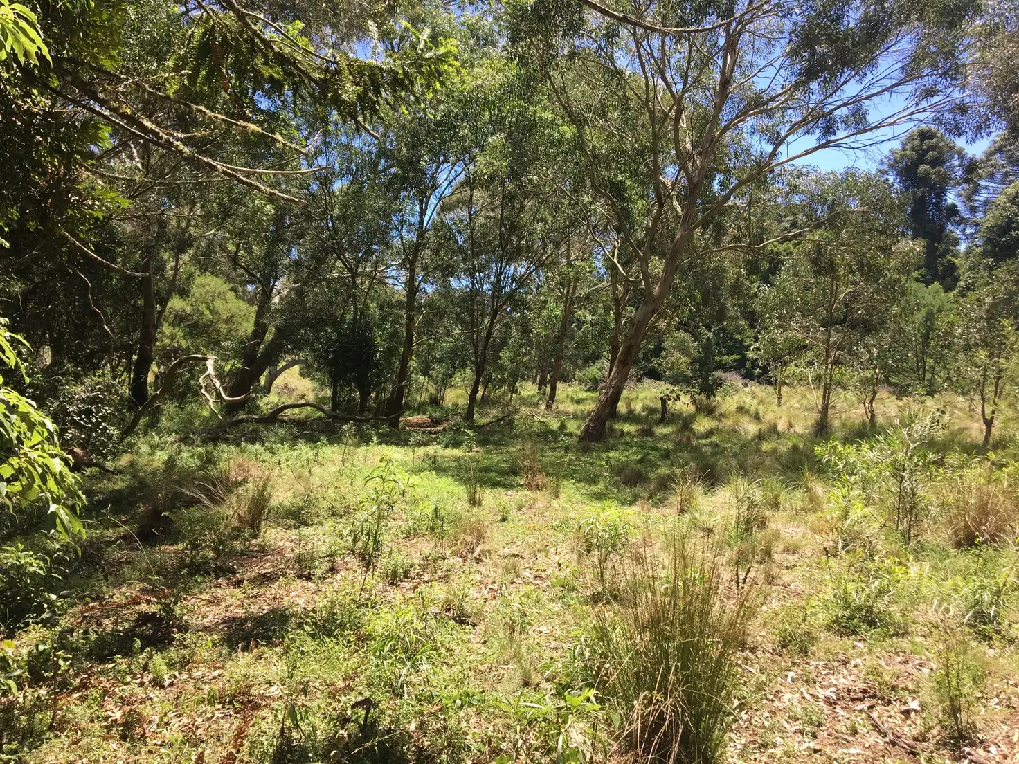 Main view of Homely land listing, Lots 136-1 Sheedy Street, Bunya Mountains QLD 4405