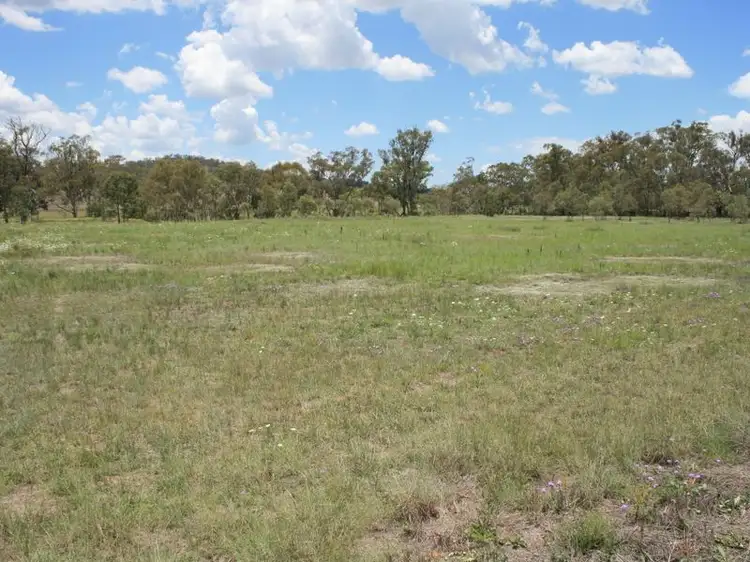 Fifth view of Homely rural property listing, Lot 1 Condamine River Road, Pratten QLD 4370