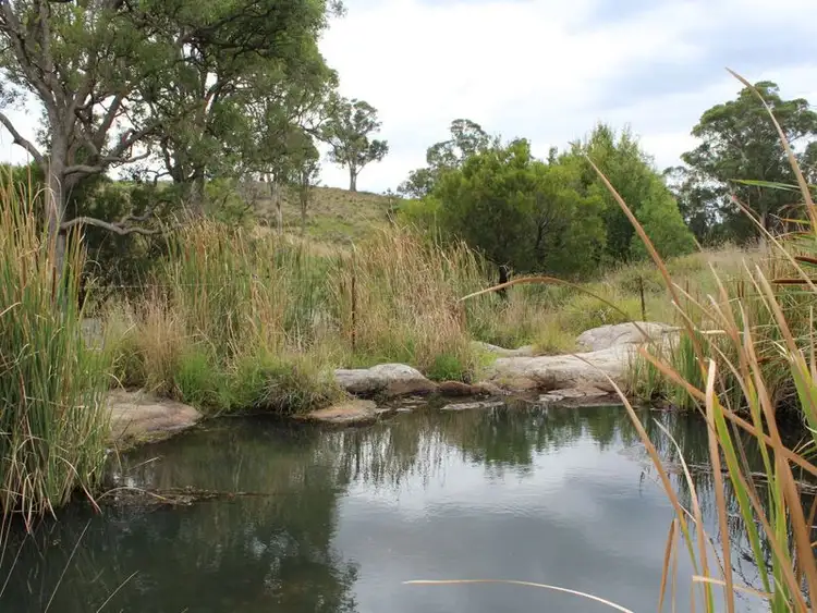 Second view of Homely rural property listing, 63 Dummetts Road, Quaama NSW 2550