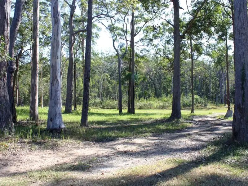 Main view of Homely land listing, 19 Tree Frog Grove, Woombah NSW 2469