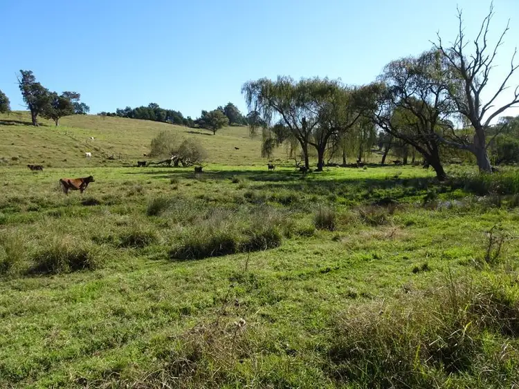 Sixth view of Homely land listing, 10970 Princes Highway, Cobargo NSW 2550