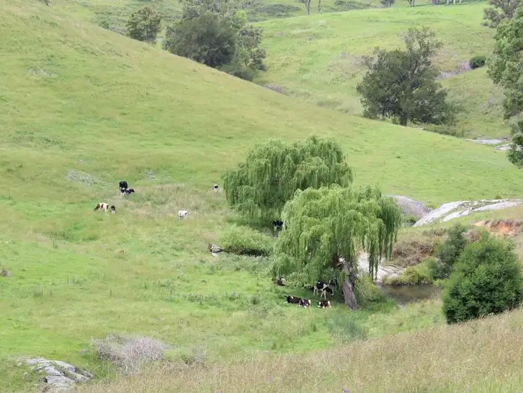 Sixth view of Homely rural property listing, 59 Bellemount Lane, Brogo NSW 2550