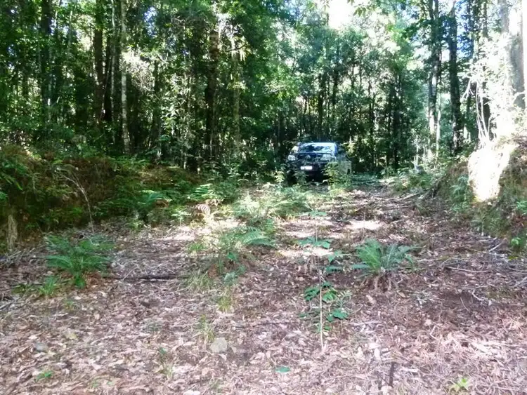 Seventh view of Homely land listing, Lot 1 Eve Creek Road, Brooklana NSW 2450