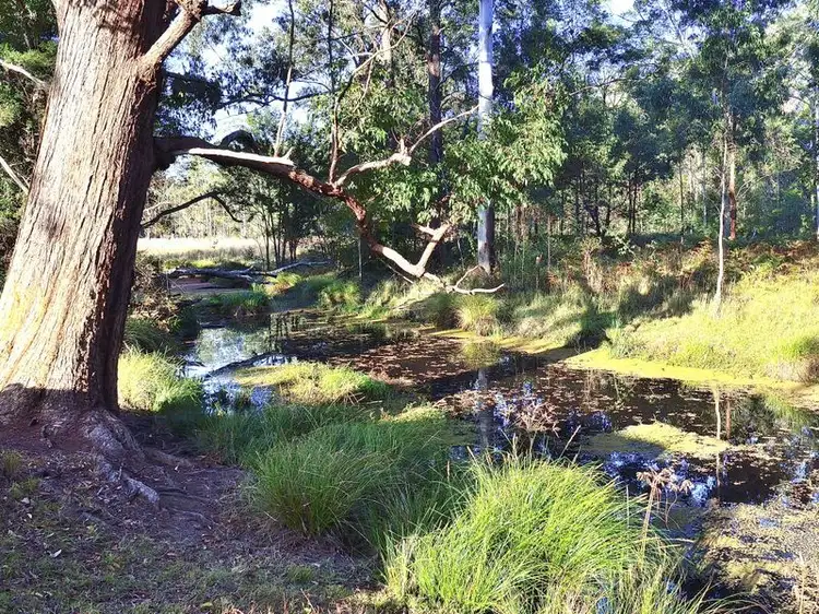 Fifth view of Homely rural property listing, Chain 'O' Ponds Road, Collombatti NSW 2440