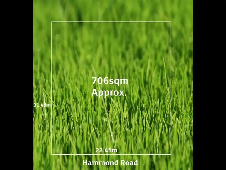 14 Hammond Road, Findon SA 5023