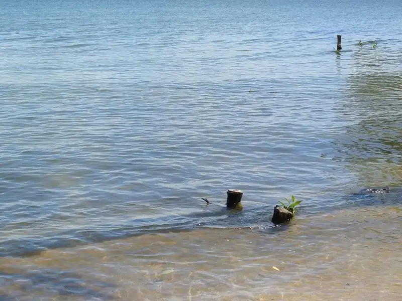 Main view of Homely land listing, 45 Attunga Street, Macleay Island QLD 4184