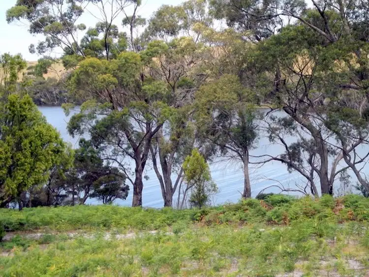 Fourth view of Homely land listing, 141 Acacia Drive, Ansons Bay TAS 7264