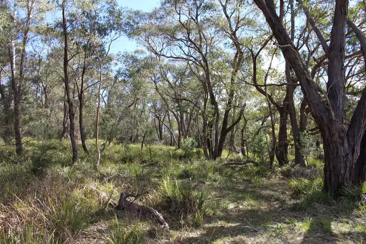 Sixth view of Homely land listing, 141 Bourkes Road, Yowrie NSW 2550