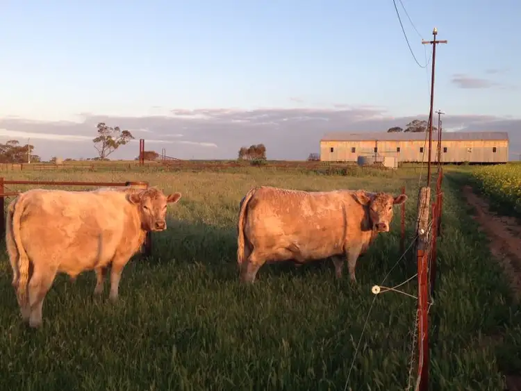 Second view of Homely house listing, 319 Hardy Road, Meckering WA 6405