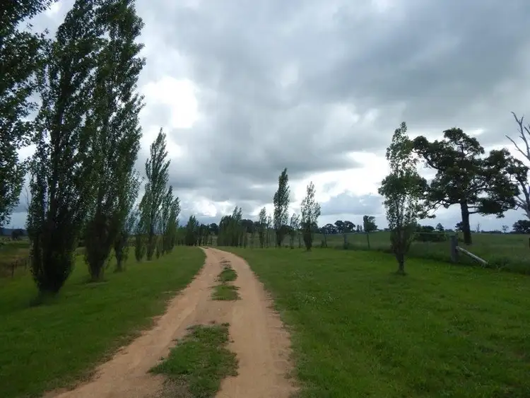 Sixth view of Homely rural property listing, 874 Cobargo Bermagui Road, Coolagolite NSW 2550