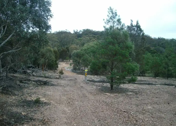 Sixth view of Homely rural property listing, Lot 246 Fernleigh Close, Windellama NSW 2580