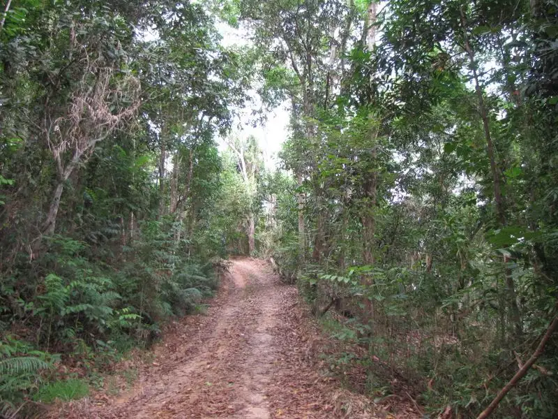 Main view of Homely land listing, 2/ Syndicate Road, Miallo QLD 4873