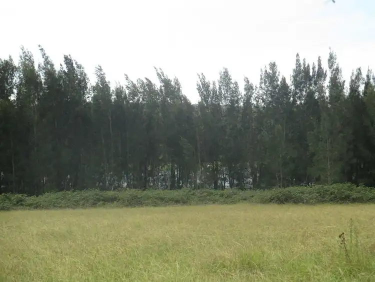 Sixth view of Homely land listing, 466 Congo Road, Congo NSW 2537