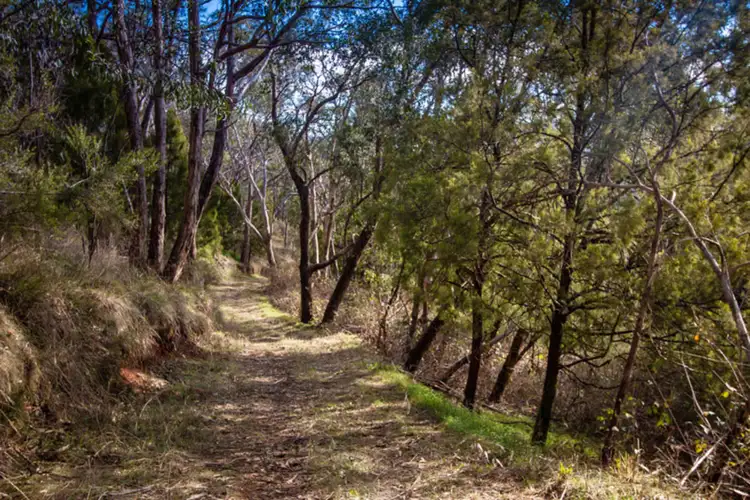 Third view of Homely land listing, Lot 276 & Mawson Road, Basket Range SA 5138