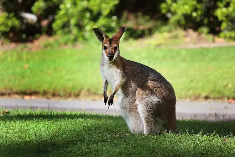Seventh view of Homely land listing, 120-122 Sanctuary Drive, Mount Cotton QLD 4165