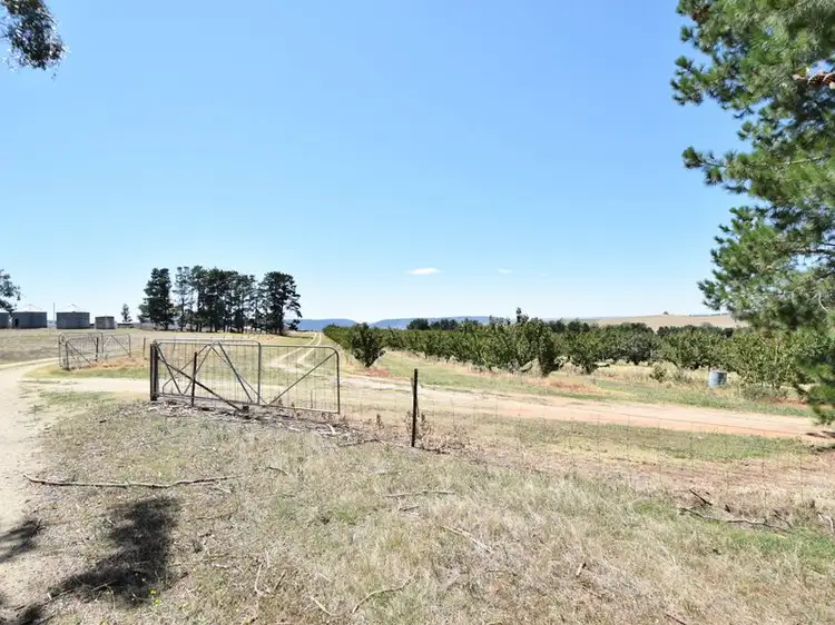 Fourth view of Homely rural property listing, 650 Monteagle Stock Route Rd Eest, Young NSW 2594