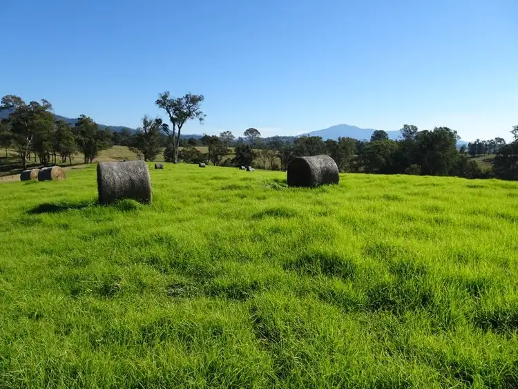 Seventh view of Homely land listing, 10970 Princes Highway, Cobargo NSW 2550