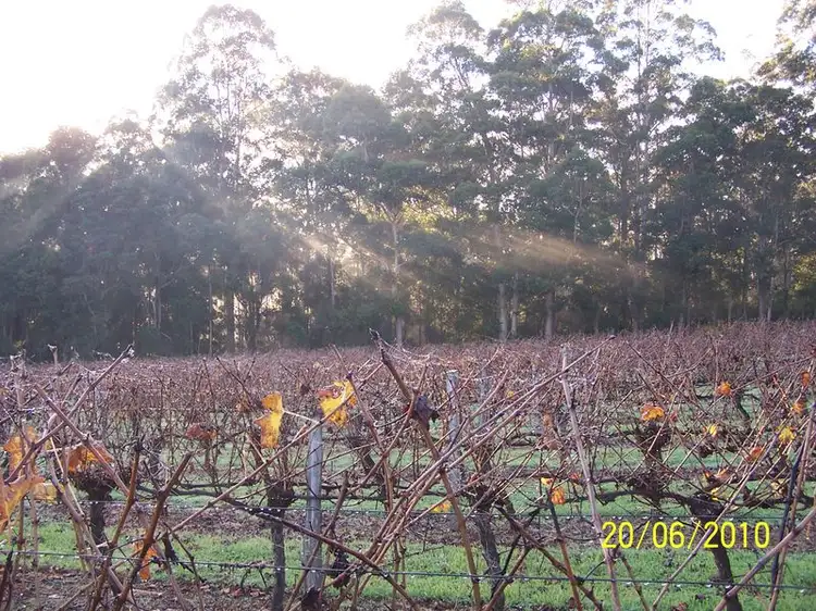 Fifth view of Homely land listing, 11891 Conte Road, Pemberton WA 6260