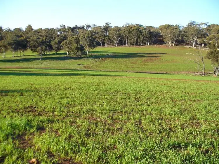 Lot 9 Ashworth Road, York WA 6302