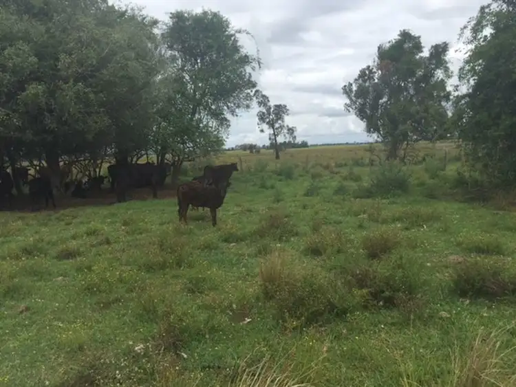Sixth view of Homely rural property listing, 102DP838039 & 4/Lot 4 DP96 Swan Bay - New Italy Road, Woodburn NSW 2472
