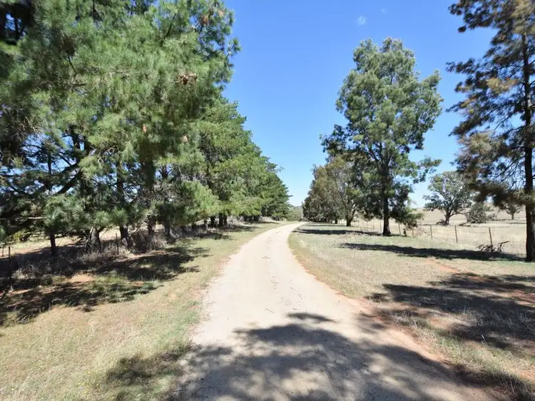 Fifth view of Homely rural property listing, 650 Monteagle Stock Route Rd Eest, Young NSW 2594