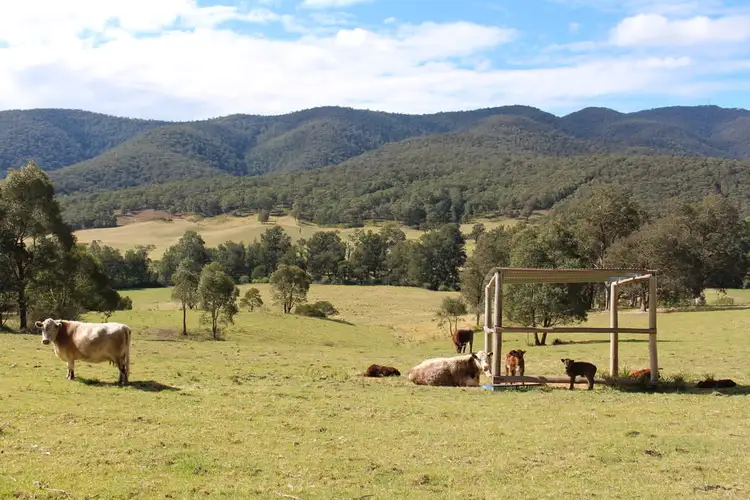 Third view of Homely land listing, 141 Bourkes Road, Yowrie NSW 2550
