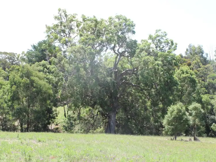 Second view of Homely land listing, Lot 3 Silby Road, Bega NSW 2550
