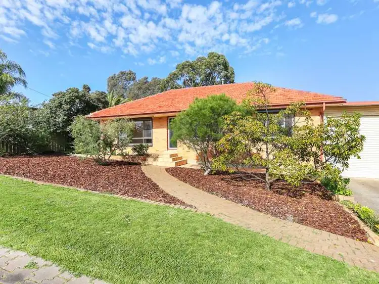 Main view of Homely house listing, 21 Cheryl Ave, Valley View SA 5093