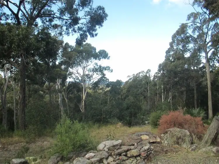 Seventh view of Homely rural property listing, 300 Pollwombra Road, Moruya NSW 2537