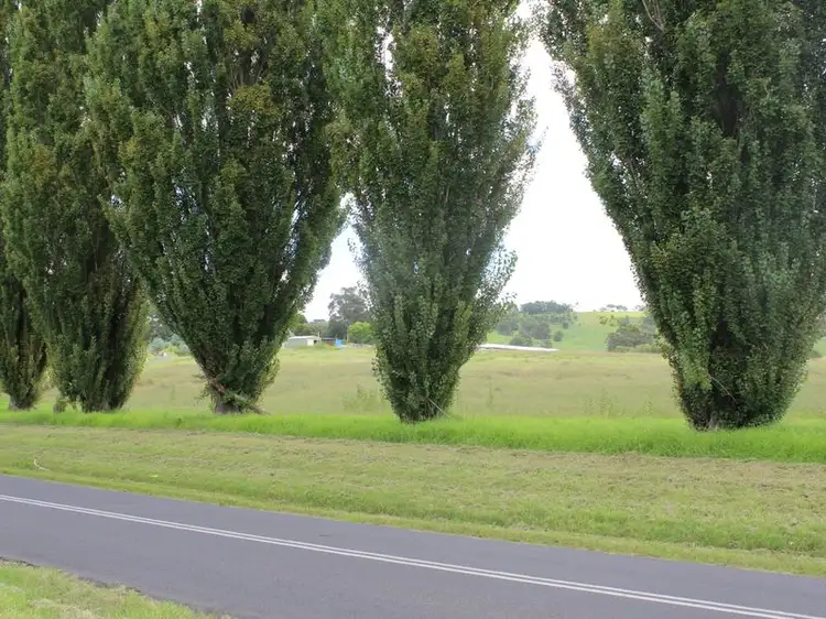 Fourth view of Homely land listing, Lot 1 Springvale Close, Bega NSW 2550