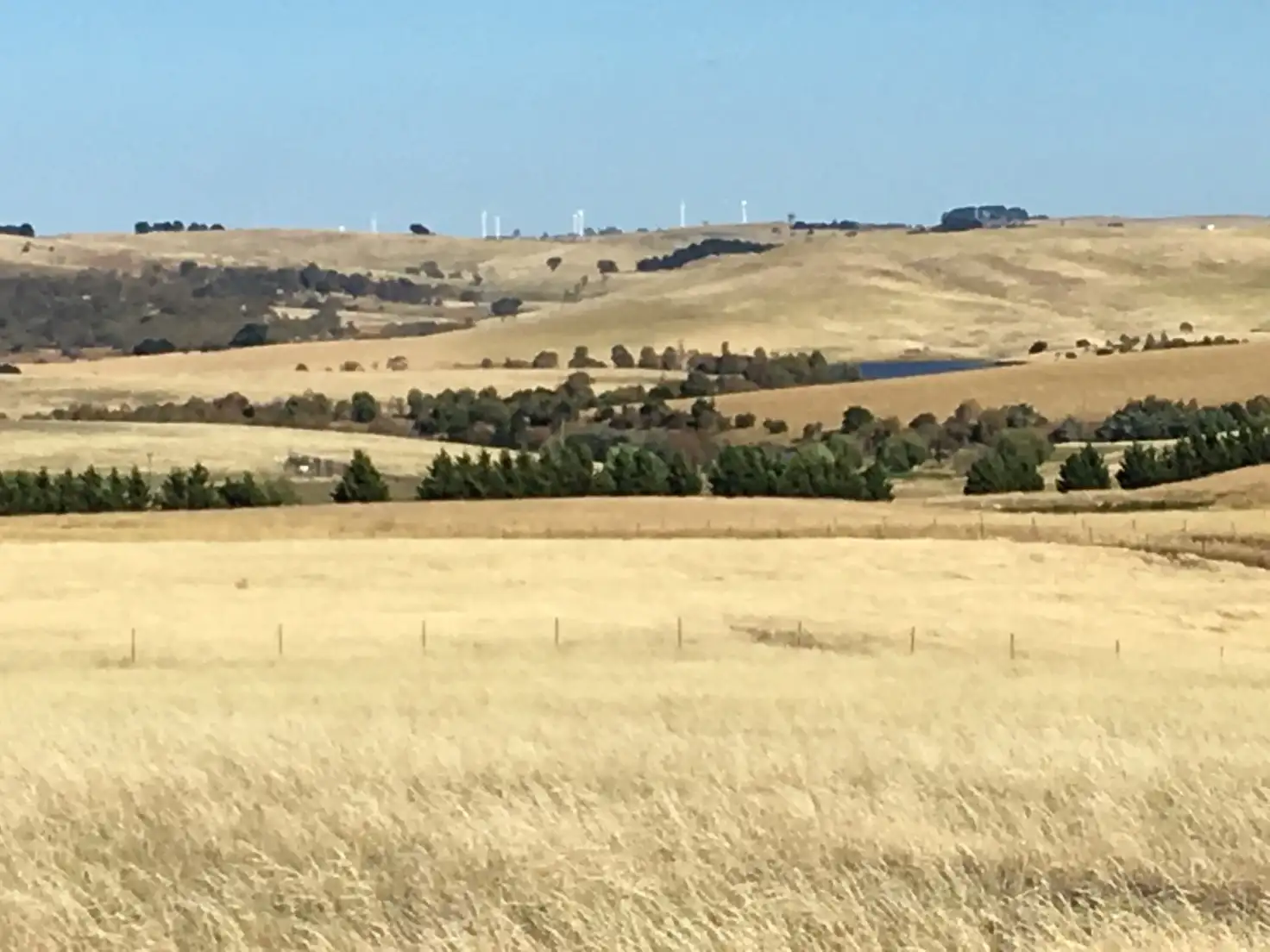 Main view of Homely rural property listing, 192 St Stephens Road, Goulburn NSW 2580