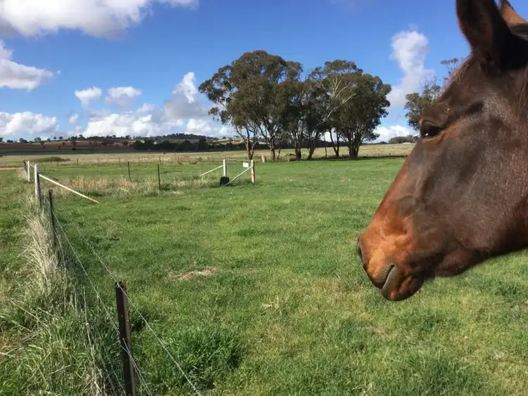 Fifth view of Homely land listing, 259 Camp Road, Cowra NSW 2794