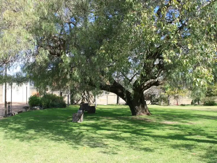 Sixth view of Homely rural property listing, 732 Springdale Raod, Stanthorpe QLD 4380