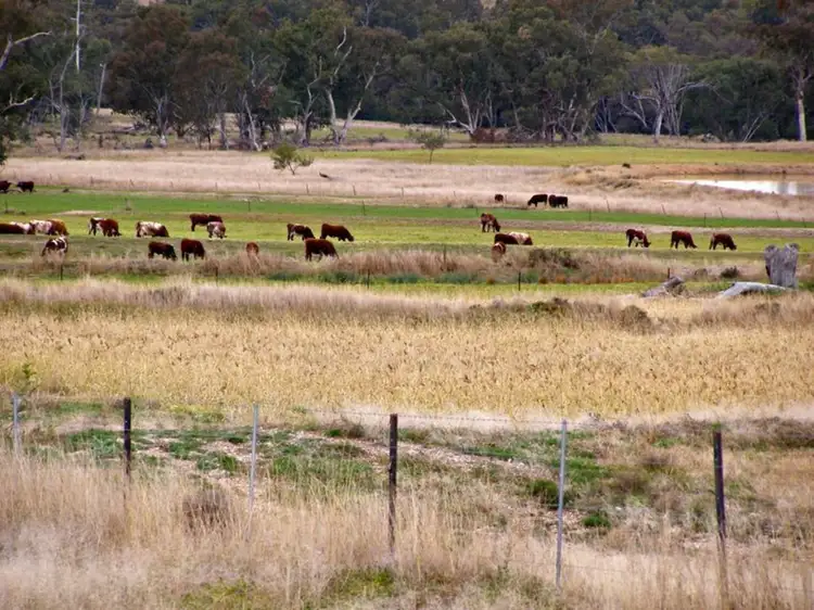 Sixth view of Homely rural property listing, 1049 Reserve Creek Road, Delungra NSW 2403