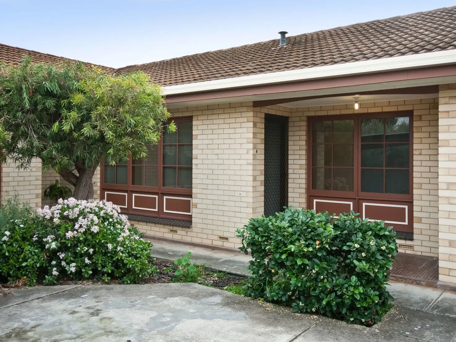 Main view of Homely unit listing, 6/7 Stephens Avenue, Torrensville SA 5031