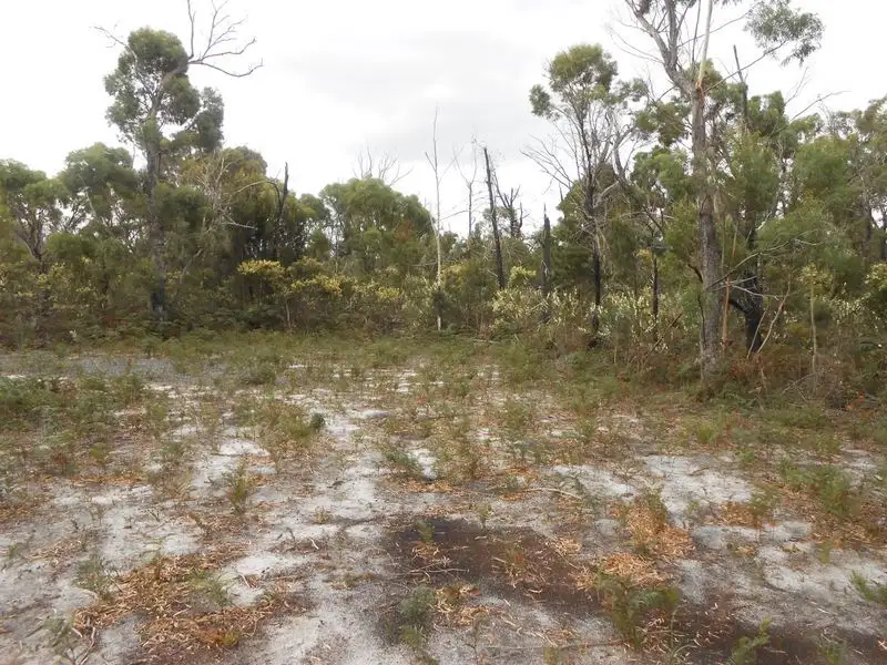 Main view of Homely land listing, LOT 14 Tasman Highway, Scamander TAS 7215