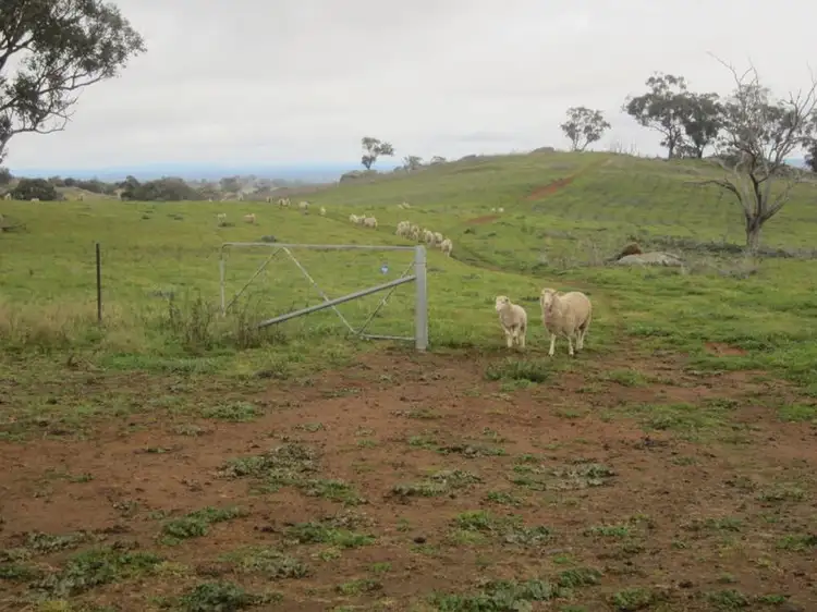 Fifth view of Homely rural property listing, 625 Tubbul Road, Young NSW 2594