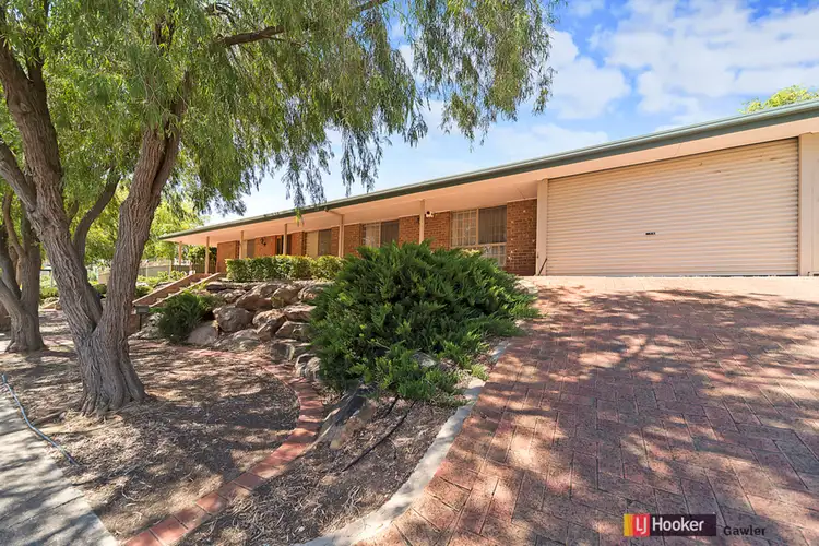 Main view of Homely house listing, 25 Cork Road, Gawler East SA 5118