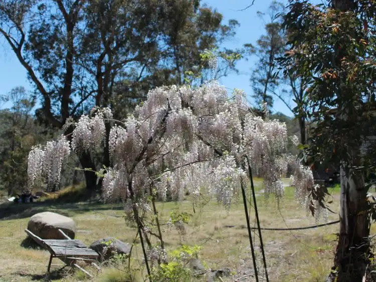 Fourth view of Homely house listing, 109 Warra Forest Road, Glen Innes NSW 2370