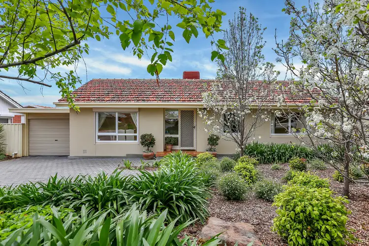 15 Anita Avenue, Gilles Plains SA 5086