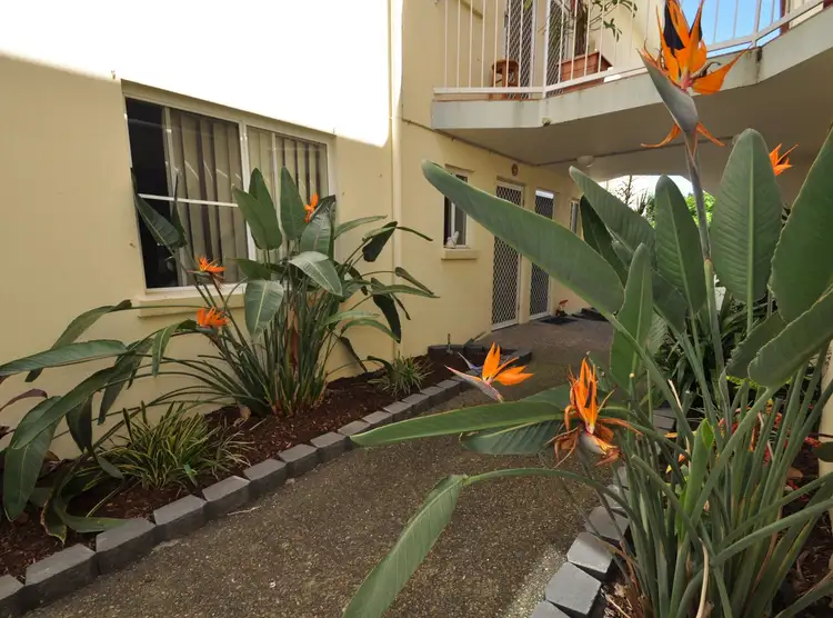 Main view of Homely unit listing, 6/41 Glenora St, Wynnum QLD 4178