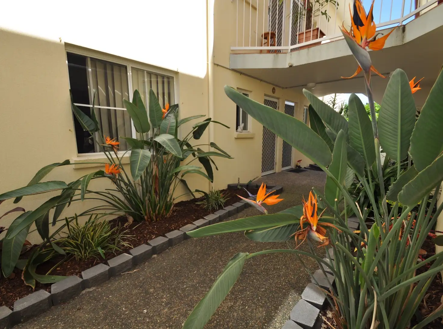 Main view of Homely unit listing, 6/41 Glenora St, Wynnum QLD 4178