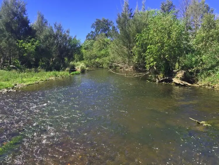 Second view of Homely rural property listing, 1553 Nowendoc Road MOUNT GEORGE via, Wingham NSW 2429